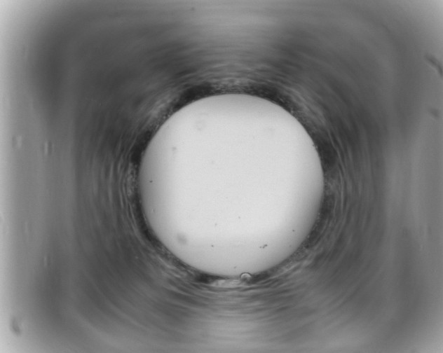 X0000099310133200805020740