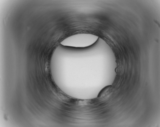 X0000099310134200805020740