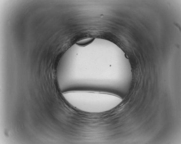 X0000099310135200805020740