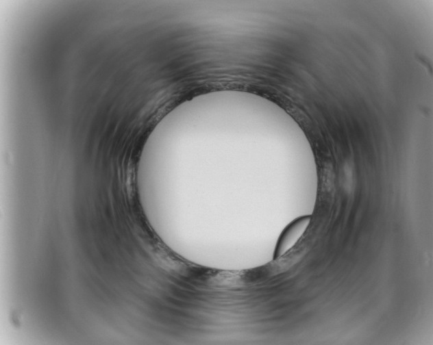 X0000099310138200805020740
