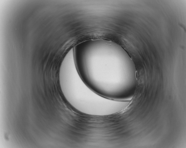 X0000099310140200805020740