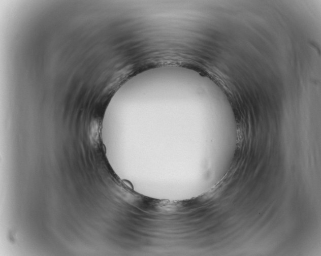 X0000099310142200805020740