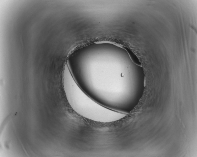 X0000099310144200805020740