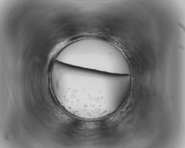 X0000099310149200805020739
