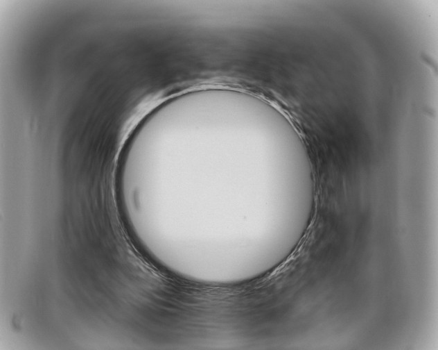 X0000099310152200805020739