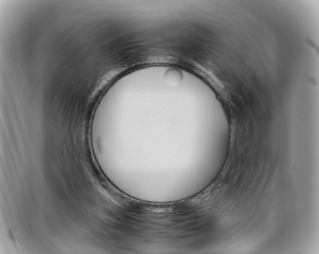 X0000099310155200805020739