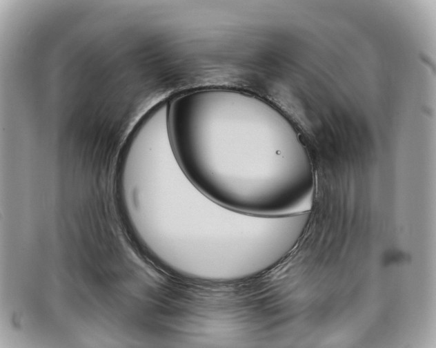 X0000099310156200805020739