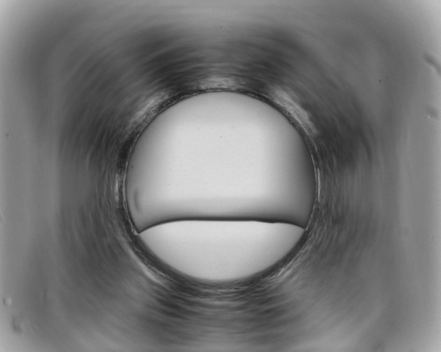 X0000099310157200805020739