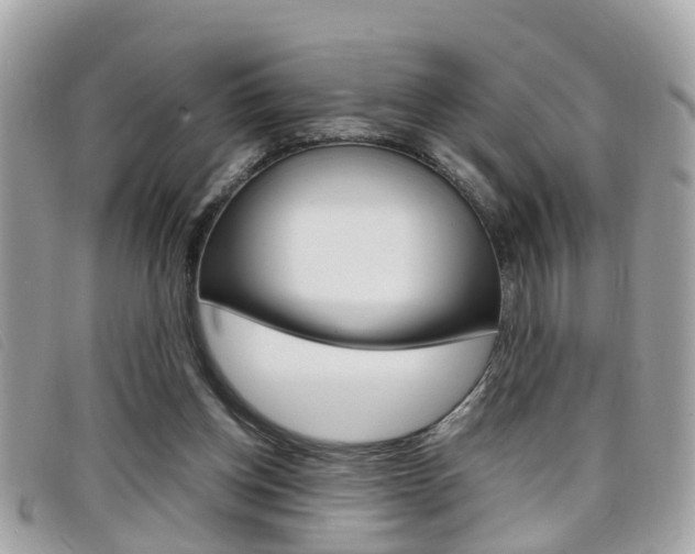 X0000099310158200805020739