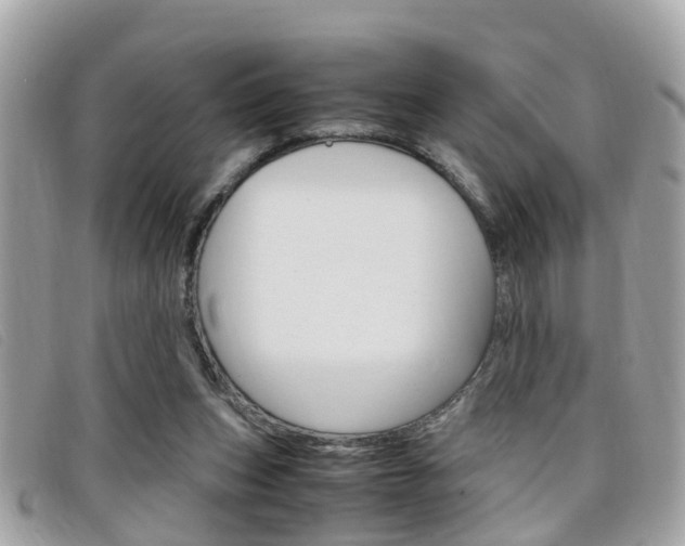 X0000099310159200805020739