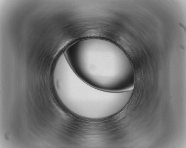 X0000099310160200805020739