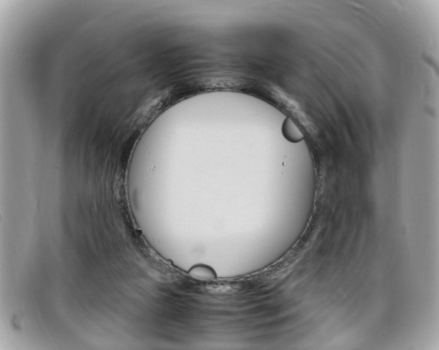 X0000099310161200805020739