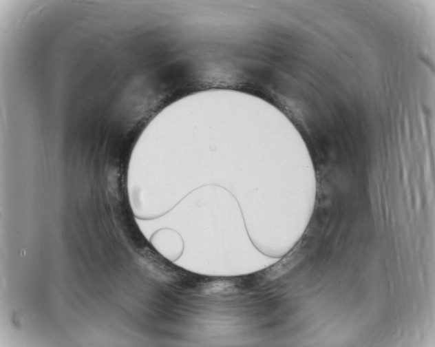 X0000099310162200805020739