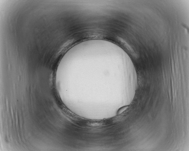 X0000099310163200805020739