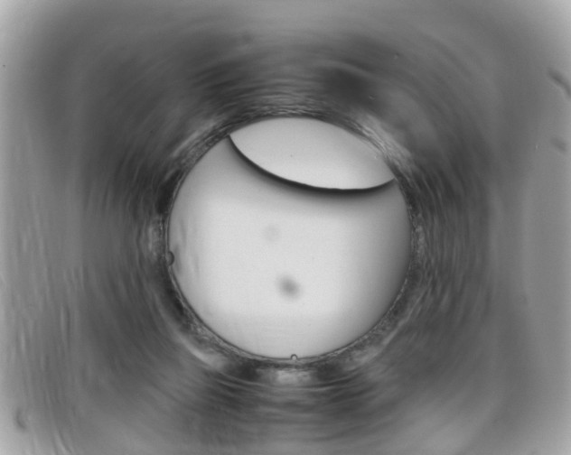 X0000099310165200805020739