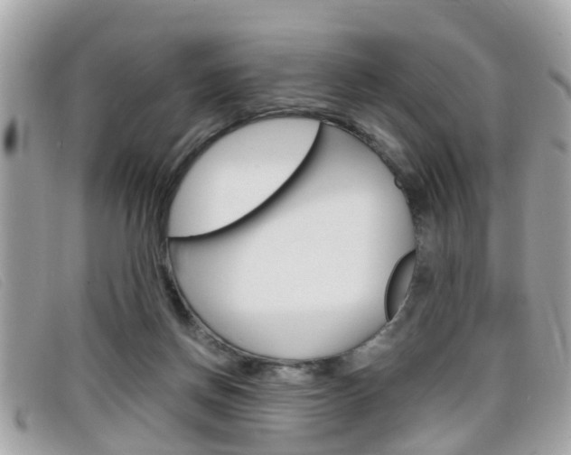 X0000099310166200805020739