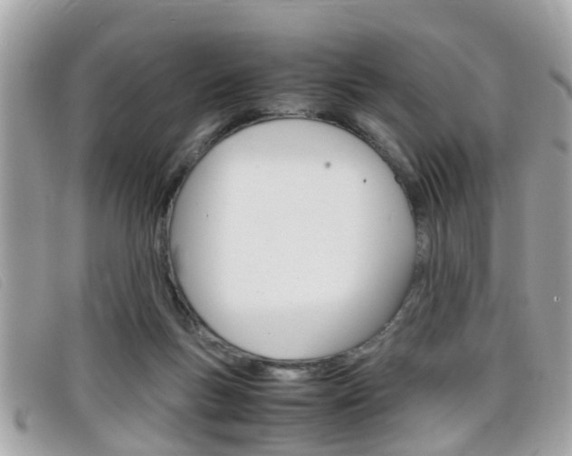 X0000099310167200805020739