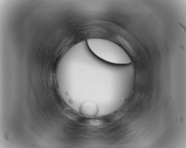 X0000099310169200805020739