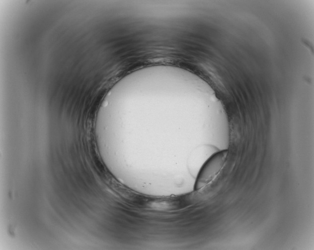 X0000099310171200805020739