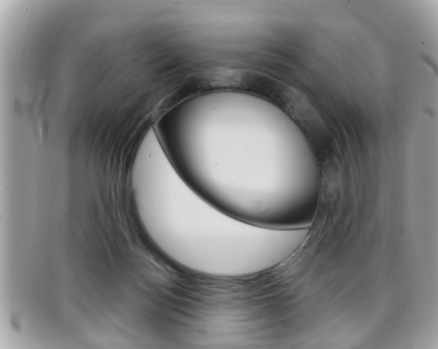 X0000099310172200805020739