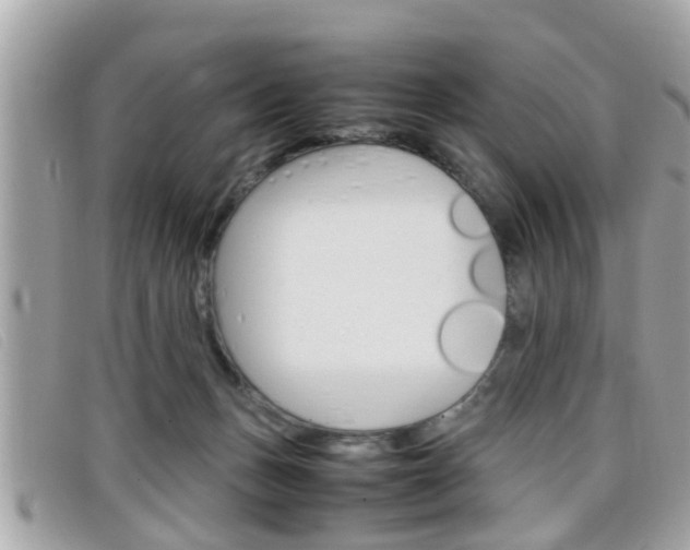 X0000099310175200805020739