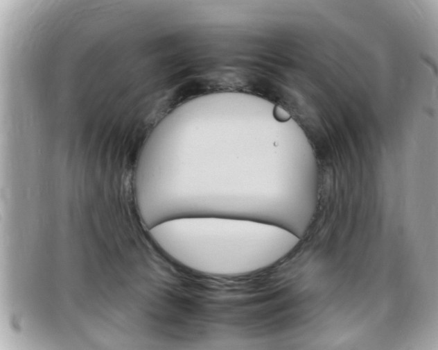 X0000099310177200805020739