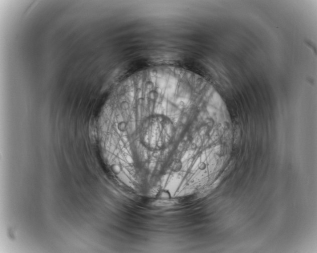 X0000099310179200805020740