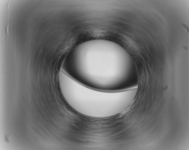 X0000099310180200805020740