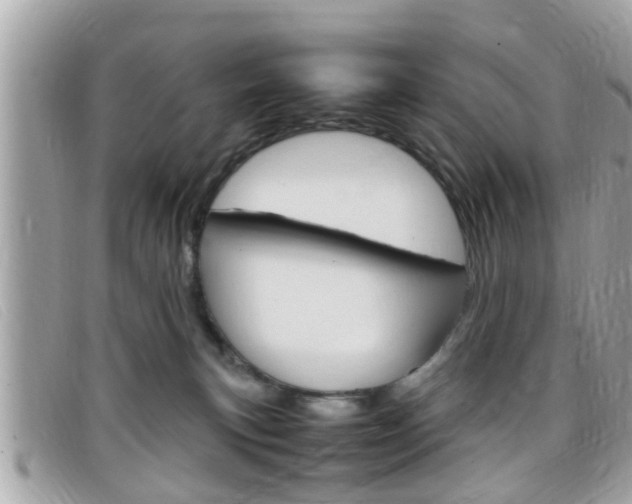 X0000099310183200805020740