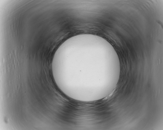 X0000099310184200805020740