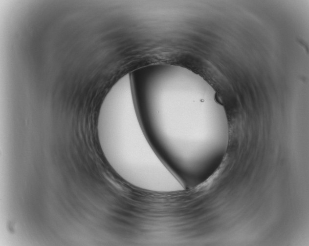 X0000099310186200805020740