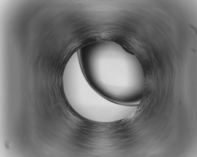 X0000099310188200805020740