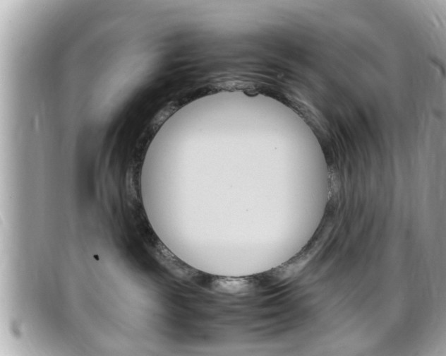 X0000099310189200805020740