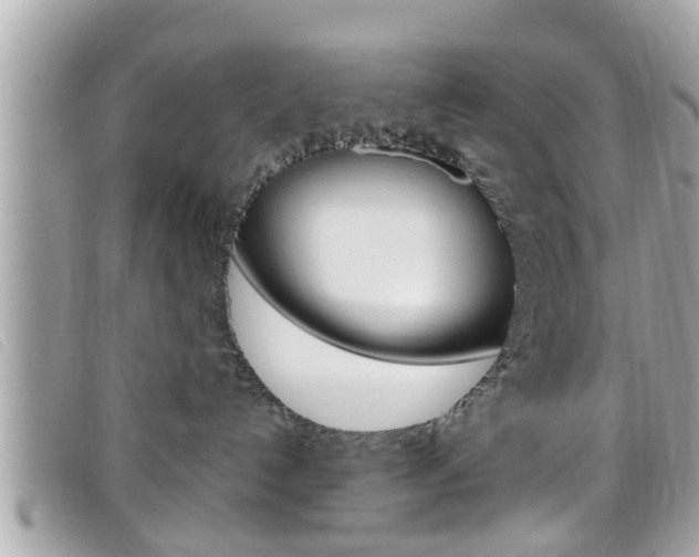 X0000099310192200805020740