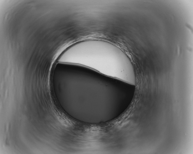 X0000099310196200805020739