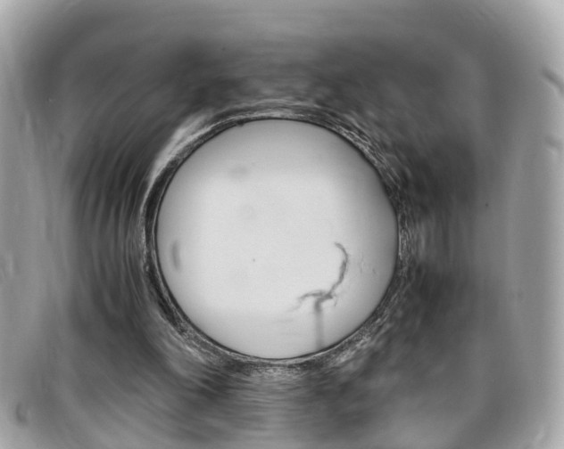 X0000099310198200805020739