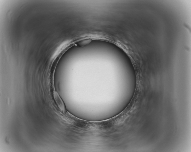 X0000099310199200805020739
