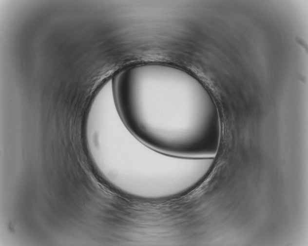 X0000099310201200805020739