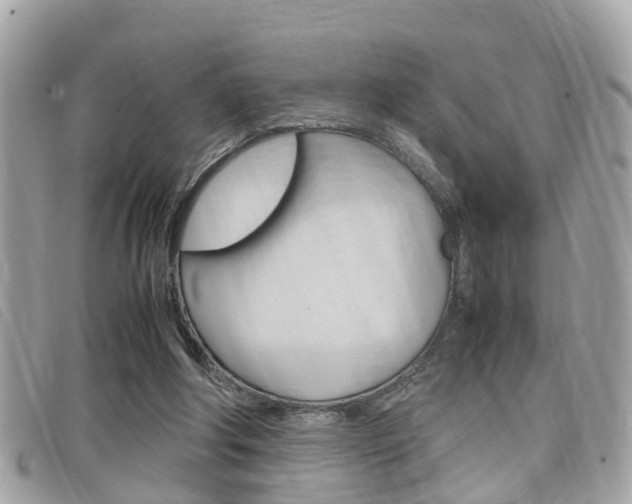 X0000099310202200805020739