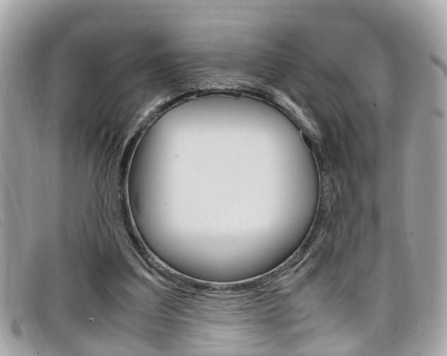 X0000099310203200805020739