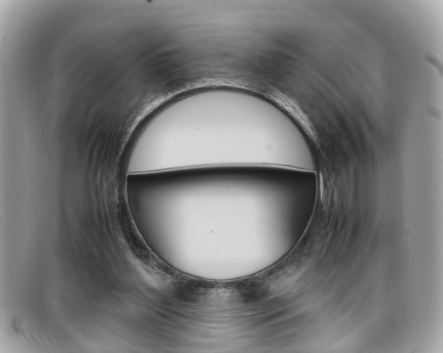 X0000099310204200805020739
