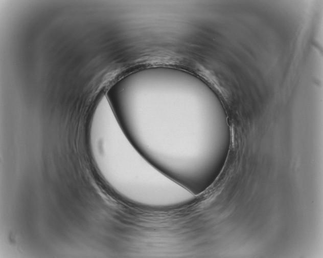 X0000099310205200805020739