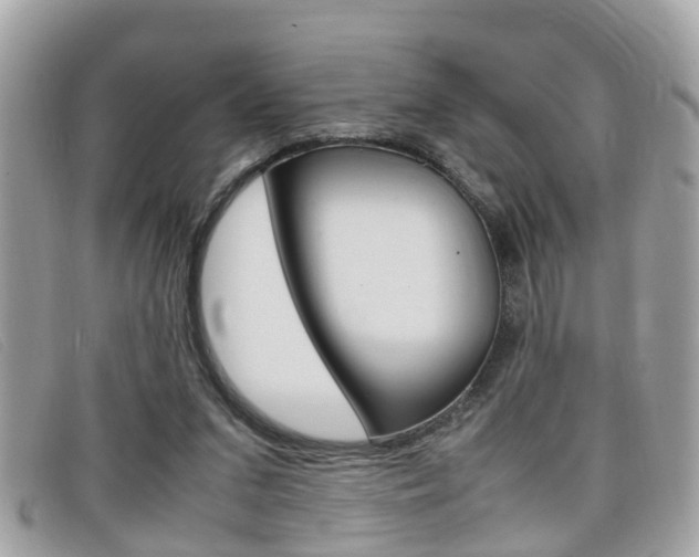 X0000099310207200805020739