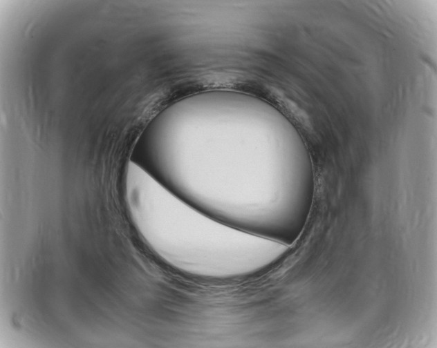 X0000099310209200805020739