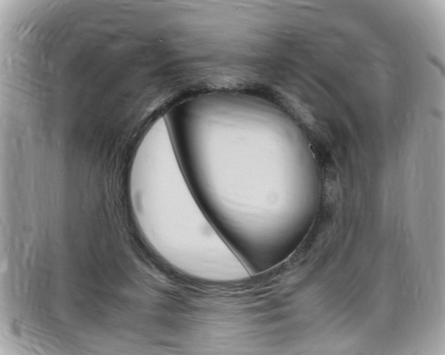 X0000099310211200805020739