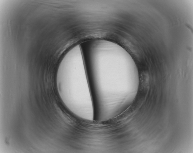 X0000099310212200805020739