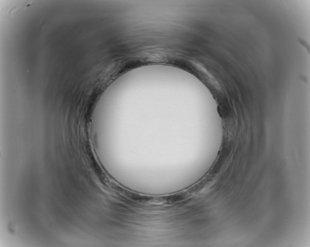 X0000099310213200805020739