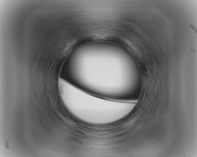 X0000099310215200805020739