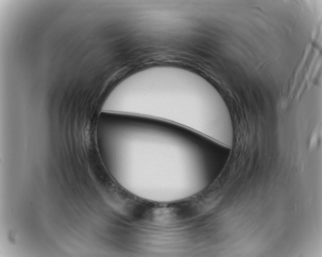 X0000099310216200805020739