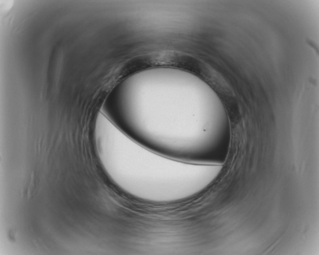 X0000099310217200805020739